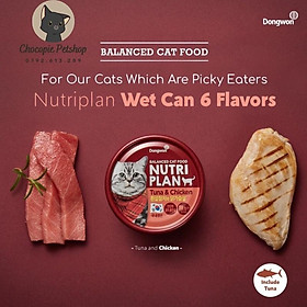 PATE CHO MÈO NUTRI PLAN HÀN QUỐC 160G