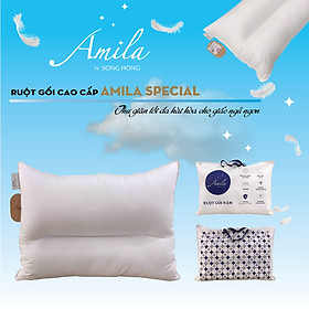 Ruột gối đơn 45x65cm cao cấp Sông Hồng Amila - Hàng chính hãng