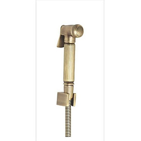 Mua Xịt Vệ Sinh Đồng
