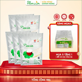 [Tặng 1Kg Nếp Cái Hoa Vàng] COMBO 10kg Gạo Hoa Lúa Trắng (Túi 2kg) - Dẻo vừa, mềm cơm, thơm nhẹ (Tổng 11Kg)