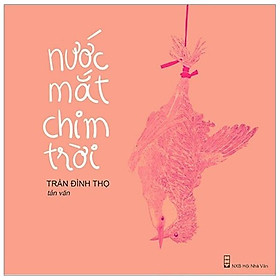 Nước Mắt Chim Trời