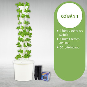 Mua Trụ trồng rau Bio 50 hốc trồng rau  giữ nước và chống cúp điện phiên bản mới