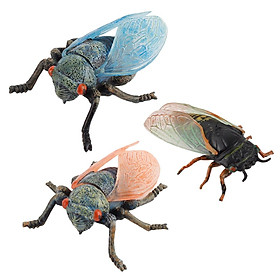 3 Pieces Fake Simulated Insect Model Realistic Plastic Cicada Figures for Collection Science Educational Teaching Aids