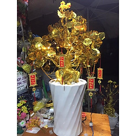 Combo nguyên liệu cành vàng lá ngọc chốt theo TOA