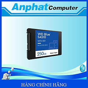 Ổ cứng SSD WESTERN DIGITAL Blue 250GB/ 500GB M.2 SATA3 - Hàng Chính Hãng