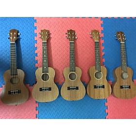 Mua CÁC MẪU UKULELE 24 inch CÓ SẴN