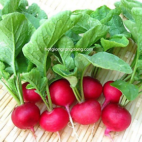 Mua Hạt Giống Củ Cải Đỏ Tròn BABY - 2gr -  - Củ nhỏ  đều củ  màu sắc đẹp mắt  chứa nhiều vitamin. Trồng quanh năm
