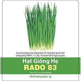 Hạt Giống Hẹ Ăn Lá Chịu Nhiệt Rạng Đông 1gram