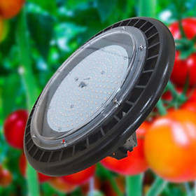 Đèn LED Chuyên dụng trồng dưa lưới, cà chua, dâu tây, hoa lan và các dòng cây khác Model: LED UFO330 150W/WBU 
