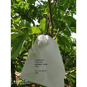 Mua  18*20  100 CÁI TÚI BAO  BỌC ỔI SUNG MỸ  HỒNG XIÊM  ROI  MẬN...TÚI BAO BỌC TRÁI CÂY