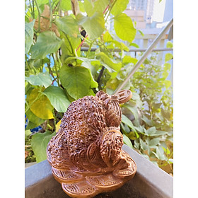 Mua Cóc ngậm tiền chiêu tài bách xanh