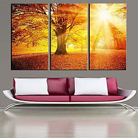 Tranh Canvas treo tường nghệ thuật | Bộ 3 bức chữ nhật| HLB_075
