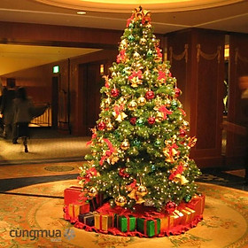 Mua Cây Thông Noel (Cao 3m)