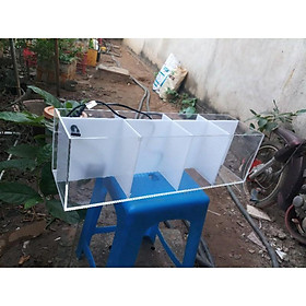 hồ nuôi cá betta, guppy ( bảy màu ) chia 4 ngăn. có vách lọc nước