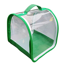 Hình ảnh Insect and Butterfly Habitat Cage Animal PVC Clean See for Raising Kids