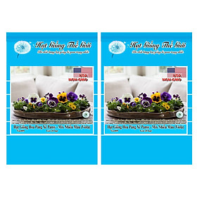 Bộ 2 Gói Hạt Giống Hoa Păng Xê Pansy - Mix Nhiều Màu (Viola) 20h