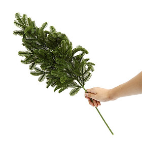 Mua Cành thông trang trí Noel - Size từ 30cm đến 60cm - Cây giả  hoa lụa Decor trang trí nhà cửa
