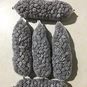 Mua Combo 5 gói phân dê 10cm bón lan