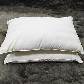 Mua Ruột gối nằm Khách Sạn lông vũ 50x70cm  siêu mềm  chuẩn khách sạn 5 sao  giá dùng thử hấp dẫn