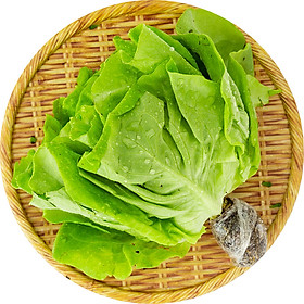Big C - Xà lách mỡ thủy canh 200g - 75044