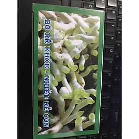 Phân bón chậm tan dạng túi lọc hộp 20 túi NT-1602 HK1 cung cấp dinh dưỡng cho phong lan, hoa cảnh