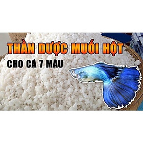 Muối Hột Hạt To 1kg - Muối Biển Tinh Khiết