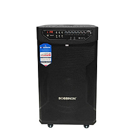 Loa 4T Bossinon W-AM4209K
