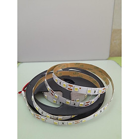 Mua Led dây dán 5050 điện 12V cuộn 5M  sử dụng trang trí trong nhà  tủ kệ  tủ bếp  kệ trưng bày