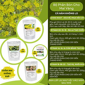 Mua Bộ Sản Phẩm Chăm Sóc Mai Sau Tết Thông Minh