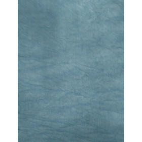 Mua Phông loang chụp ảnh chuyên dụng mm-02 2.9X5M