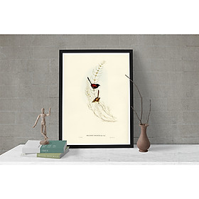 Tranh Canvas Động vật Chim Sẻ nâu cao cấp. , Khung hợp nhôm chống ẩm, bền, đẹp, nhiều kích thước. Phù hợp nhiều không gian sang trọng