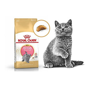 [400g] Hạt Royal Canin British Shorthair Kitten Cho Mèo Anh Lông Ngắn Nhỏ