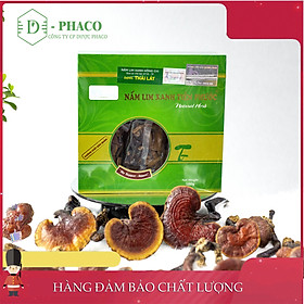 Nấm Lim Xanh Tiên Phước - Thái Lát 500gr