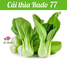 Hạt giống cải thìa Rado 77 gói 20gr - DỄ TRỒNG