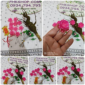 Bộ đầy đủ nguyên liệu bonsai mẫu đơn hồng ánh trai làm sẵn hoa, ko chậu