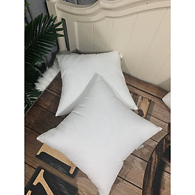 Mua CẶP RUỘT GỐI VUÔNG ÉP HƠI 45X45 ( 2 CÁI )