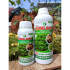 Mua PHÂN BÓN MAI VÀNG BUNG ĐỌT  LÁ RA DÀY  XANH MƯỚT  RA RỄ MẠNH - CHAI 1 LÍT SIÊU TIẾT KIỆM