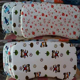 Mua Gối cao su non loại to 45 *25cm