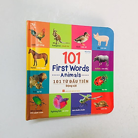 Sách – 101 First Words 101 Từ Đầu Tiên (bộ 6 quyển) - Thực vật - Động vật - Giao thông - Đồ dùng thân thiết - Bảng chữ cái - Hình dạng màu sắc