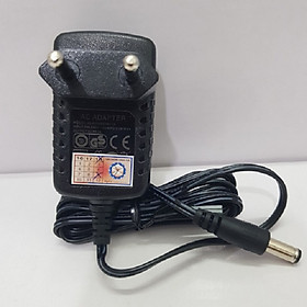 Adapter 12V dùng cho máy chấm công