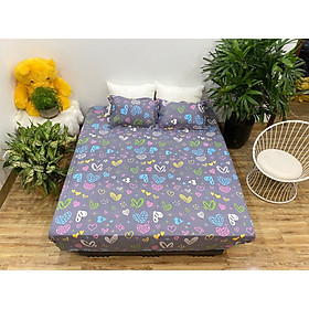 Bộ Ga Gối 3 Món Mẫu CH220