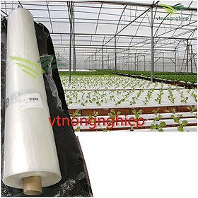 Mua 1m Màng nhà kính  rộng 6.2m Ginegar  5 lớp film  độ bền 5-8 năm  chuyên dùng trồng dưa lưới  rau sạch  hoa lan
