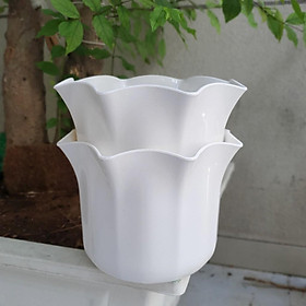 Bộ 2 chậu trồng hoa miệng bèo màu trắng 20x15cm