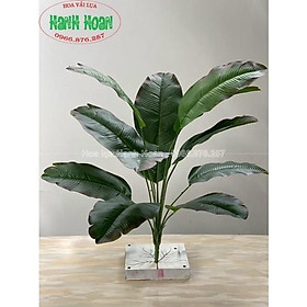 Mua Cây chuối cảnh phong thủy 18 lá và 12 lá - Cây giả trang trí