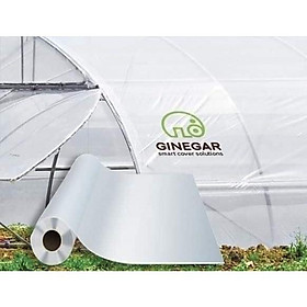 Mua Màng nhà kính che mưa gió khổ 3.2m của Israel (Lẻ từ 5m) - Thương hiệu Ginegar | Thanhdatvina