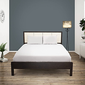 Giường gỗ Tần Bì Amando Athena hạn chế mối mọt, chống va đập tốt