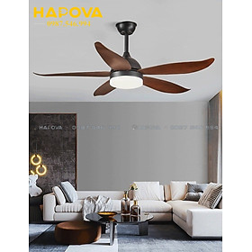 Mua Quạt trần có đèn 5 cánh cong HAPOVA 8013 động cơ 6 số + Tặng kèm điều khiển từ xa HÀNG CHÍNH HÃNG