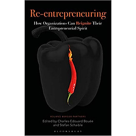 Re-Entrepreneuring: How Organizations Can Reignite Their Entrepreneurial Spirit
