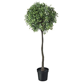 IKEA FEJKA Cây trồng trong chậu nhân tạo ngoài trời Hộp 15 cm Artificial potted plant in outdoor Box stem 15 cm