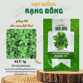 Mua Hạt giống Kinh Giới Rado 11 (1g~1800 hạt) năng suất cao  kháng sâu bệnh  trồng quanh năm - Hạt giống Rạng Đông